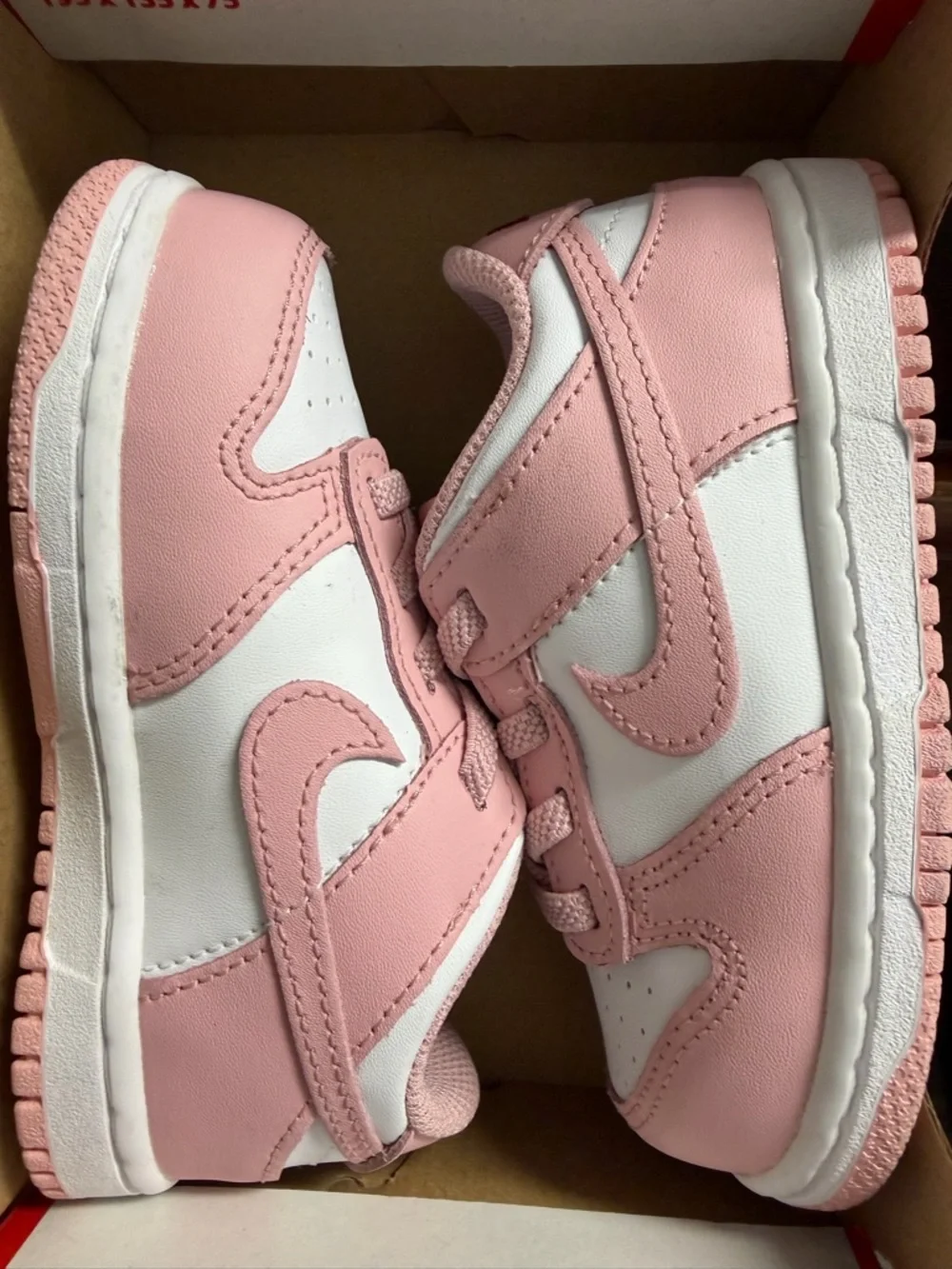 Toddler Nike Dunk Low